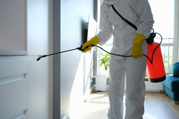 Best Professional Mold Removal  in Panora, IA